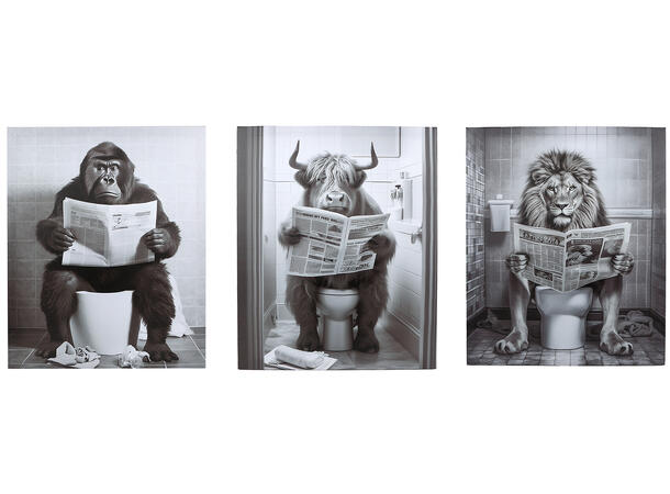 Bilde sort/hvit lerrettrykk 40x50cm 3ass 