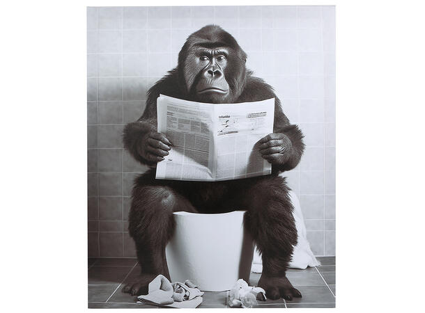 Bilde sort/hvit lerrettrykk 40x50cm 3ass 