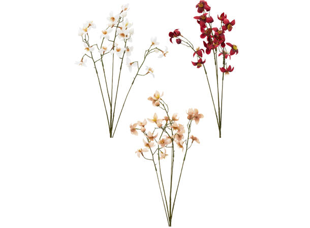 Blomst Thalictrum 77cm 3ass Forpk 24stk 