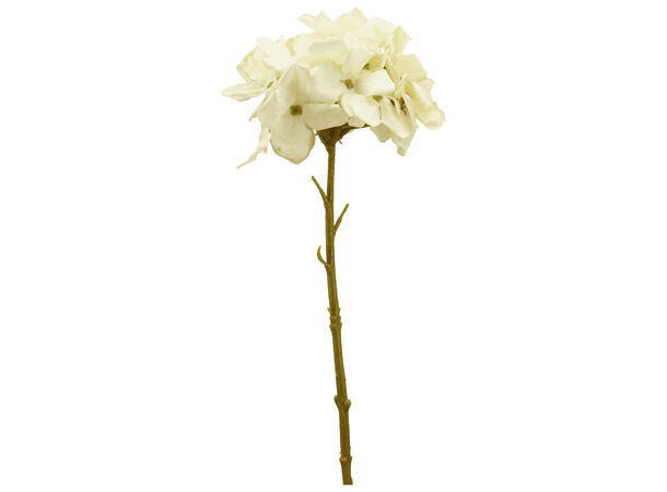 Blomst hortensia krem 32cm 