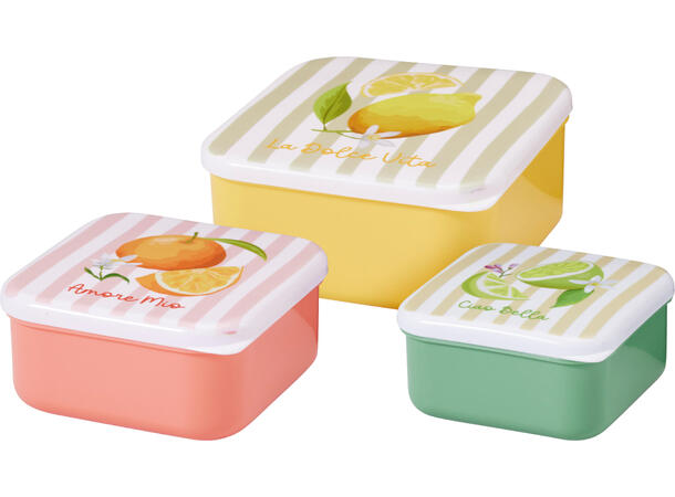 Boks fruktmotiv 3stk ass størrelser PP-plast, 12x5,5cm, 10x5cm, 8,6x4,5cm 