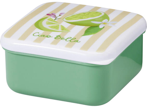 Boks fruktmotiv 3stk ass størrelser PP-plast, 12x5,5cm, 10x5cm, 8,6x4,5cm 