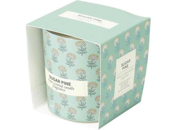 Duftlys i glass 7x7,5cm 120gr voks 3ass Forpk 24st Pion Sandeltre Furu Brenn:24t 