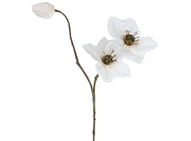 Kvist Tigerlily bordeaurød 85cm 