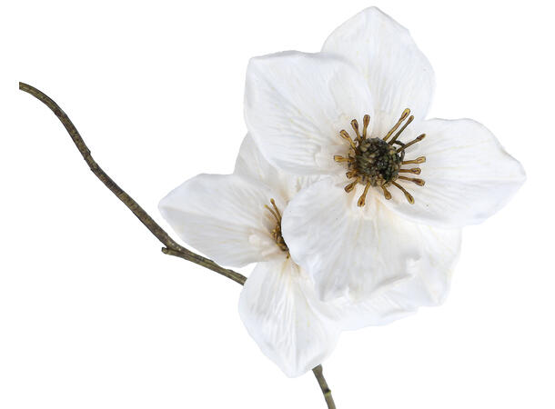 Kvist Tigerlily bordeaurød 85cm 