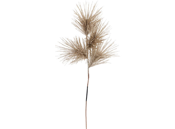 Kvist edelgran gull 75cm 