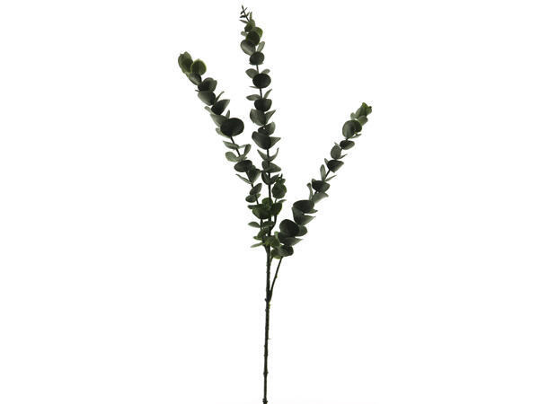 Kvist eukalyptus grønn 74cm Forpakning: 12stk 