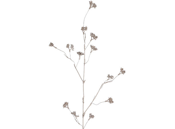 Kvist gren champagne 80cm 