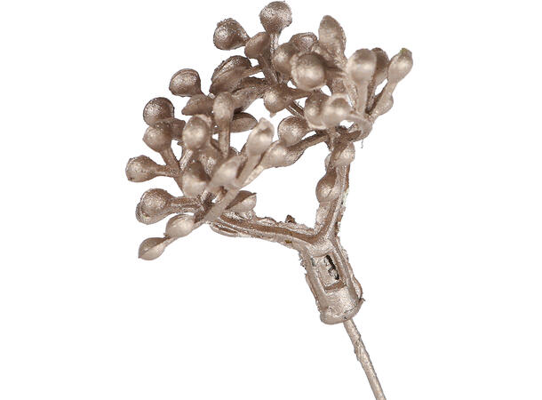 Kvist gren champagne 80cm 