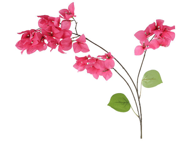 Kvist m/blomster Ibizarose rosa 102cm 