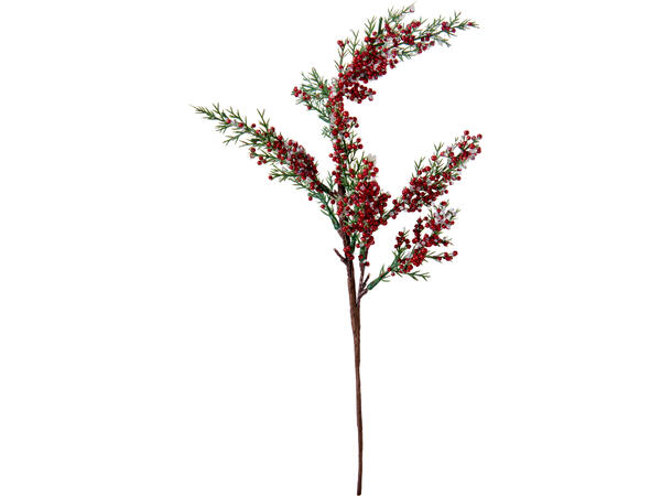 Kvist m/røde bær 36cm Display 36stk 