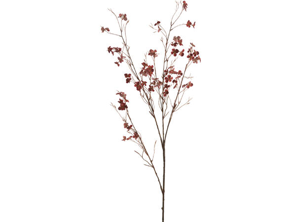Kvist m/små blomster 126cm 4ass 