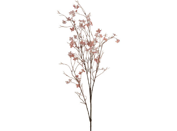 Kvist m/små blomster 126cm 4ass 