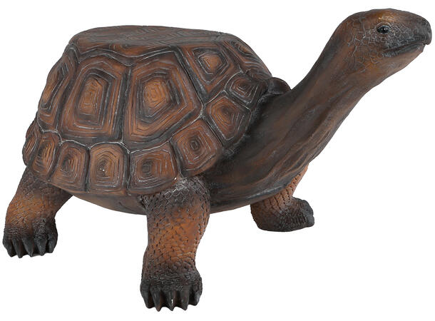 Skilpadde XXL brun magnesium 64x36x35cm MGO-materiale som kan være utendørs 