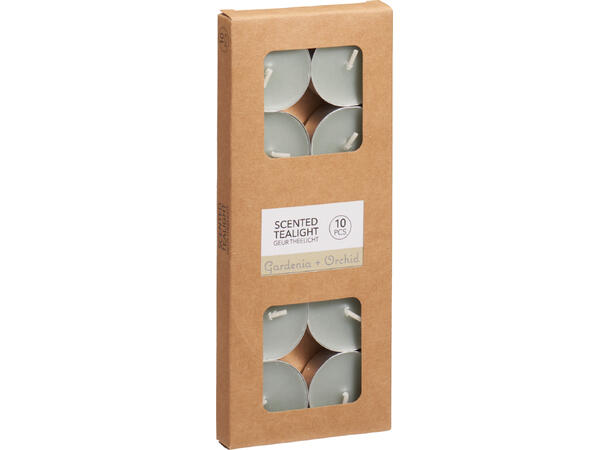 Telys mint duft: orkide10 stk 4 timer brenntid 1% duft 