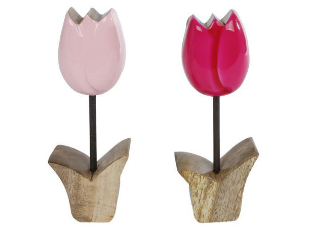 Tulipan mangotre rosa 6x3,5x16,5cm 2ass Forpakning: 12stk 