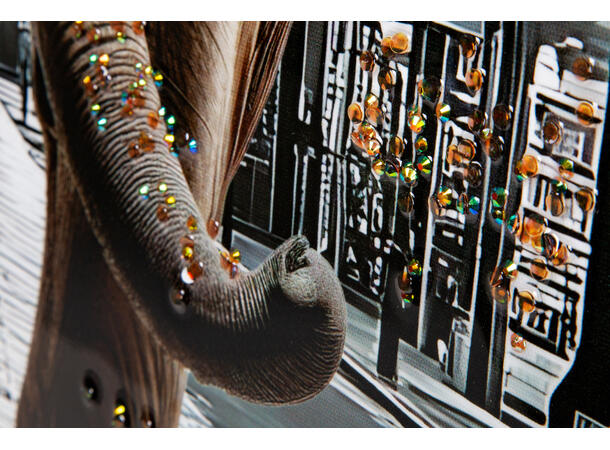 Bilde lerretstrykk elefant i by 70x100cm Shiny foliert fototrykk 