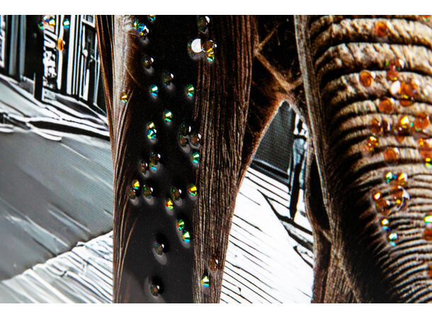 Bilde lerretstrykk elefant i by 70x100cm Shiny foliert fototrykk 