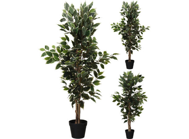 Blomst Plante i potte 115cm 2ass Forpk 2stk 438 blader 