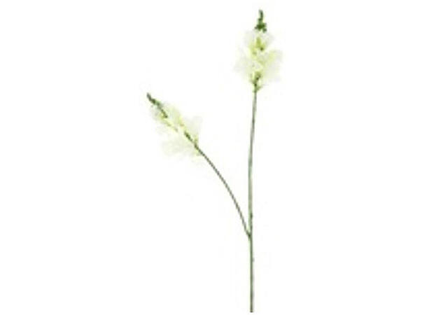 Blomst løvemunn krem 80cm 