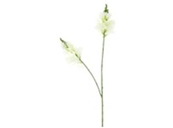 Blomst løvemunn krem 80cm 