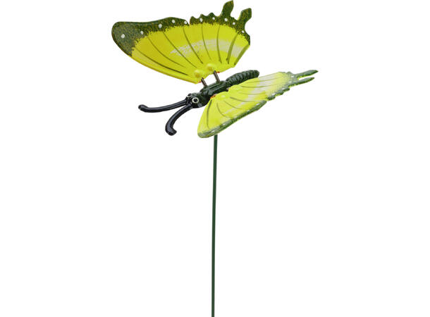 Blomsterpinne sommerfugl 11,5cm h:45cm Display med 36stk 6ass 