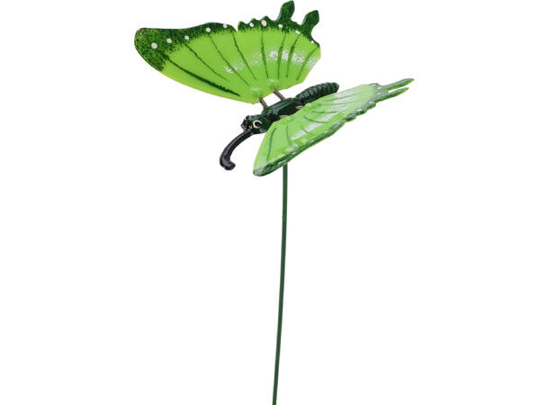 Blomsterpinne sommerfugl 11,5cm h:45cm Display med 36stk 6ass 