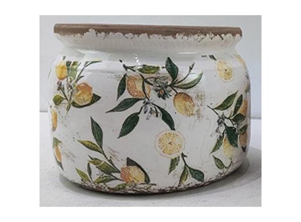 Blomsterpotte m/sitron keramikk 20x15 cm 