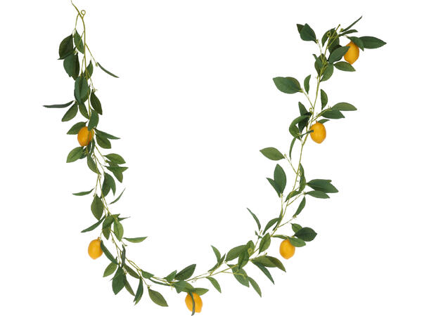 Gren lenke sitron/appelsin 180cm 2ass 