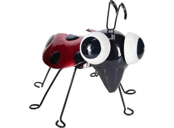 Hagedekor insekt metall 14x16cm 5ass 