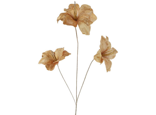 Kvist amaryllis beige 75cm 