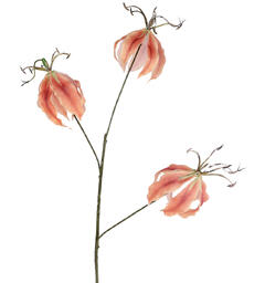 Kvist med blomst rosa/beige 83cm Forpk 12stk