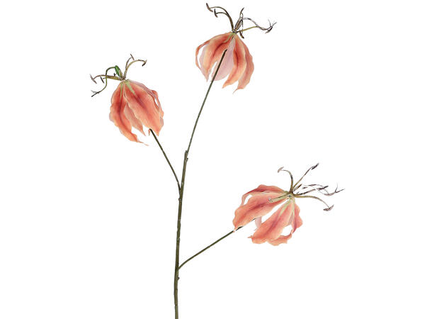 Kvist med blomst rosa/beige 83cm 