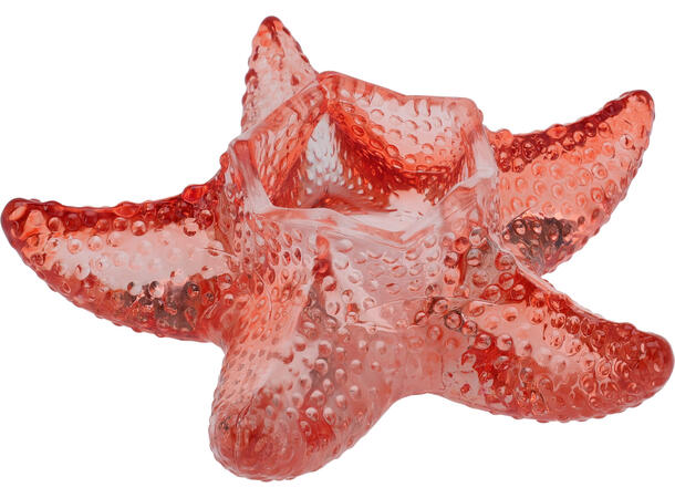Lysestake sjøstjerne glass 13,5x4cm 4ass 