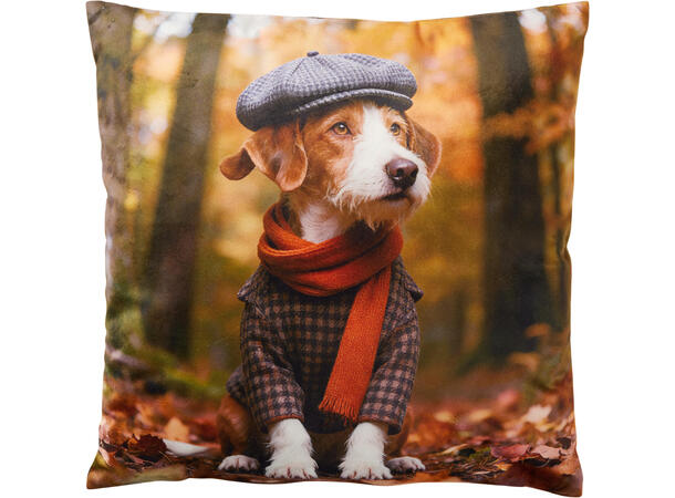 Pute hipster dyr skog 40x40cm 4ass Velurpolyester 