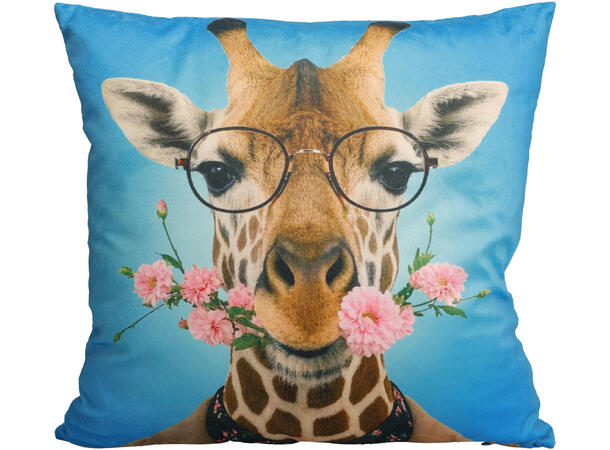 Pute hipster sebra,løve etc 45x45cm 4ass 