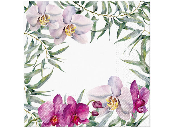 Serviett Elegant Orchid Lunsjserviett 20 stk 3-lags 33x33cm 