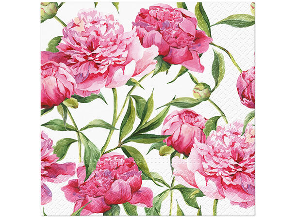 Serviett Pink Peonies Lunsjserviett 20 stk 3-lags 33x33cm 