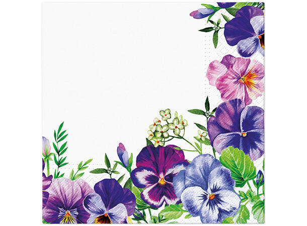 Serviett Violet pansies Lunsjserviett 20 stk 3-lags 33x33cm 