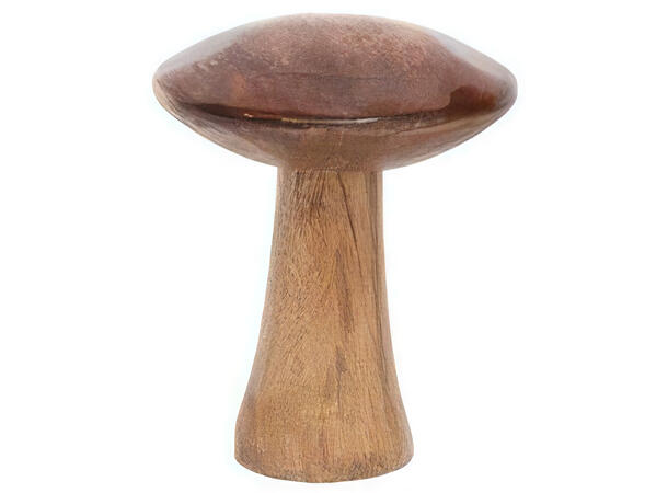Sopp tre m/lakkert topp 10x8x8cm 