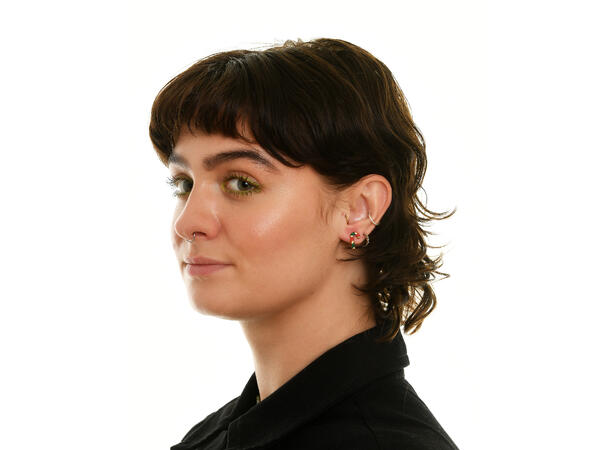 Øredobb stokk m/glitter par i gaveeske Sink uten kadmium, nikkel, bly 