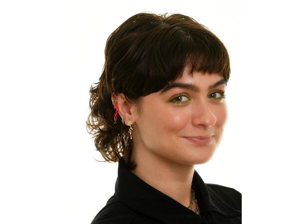 Ørepynt nisse gull par i gaveeske Sink uten kadmium, nikkel, bly 