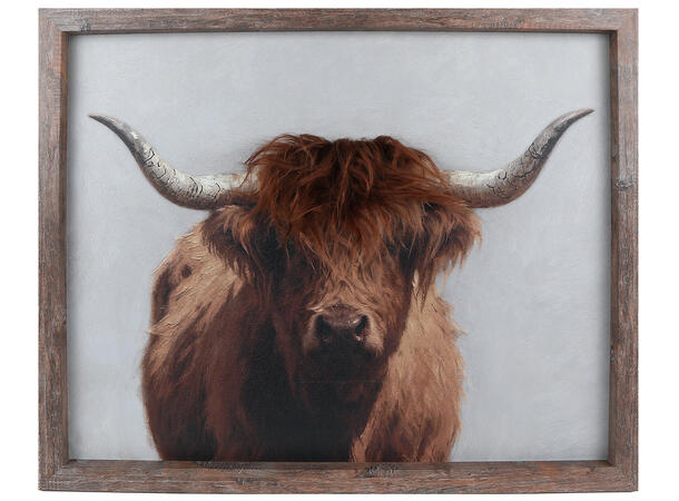 Bilde moskus m/brunt hår 50x60x2,5cm 