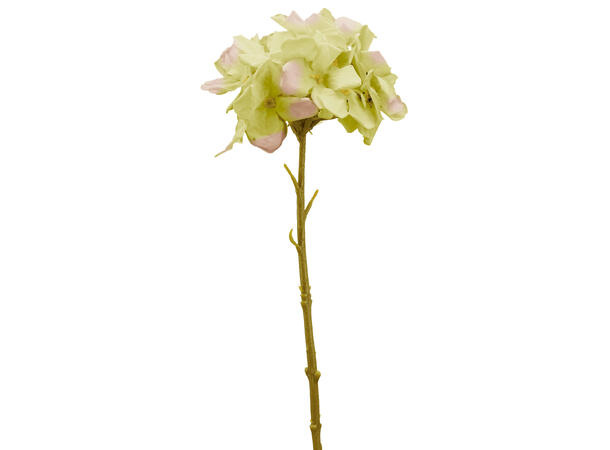Blomst hortensia gul 32cm 
