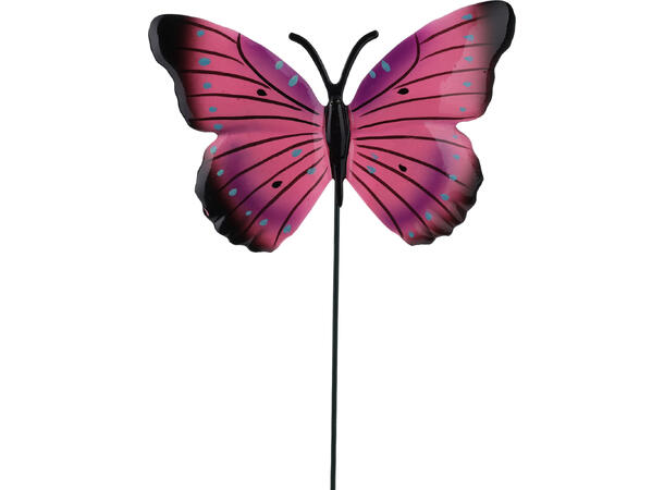 Blomsterpinne sommerfugl PP 15x55cm 4ass Display med 36stk 