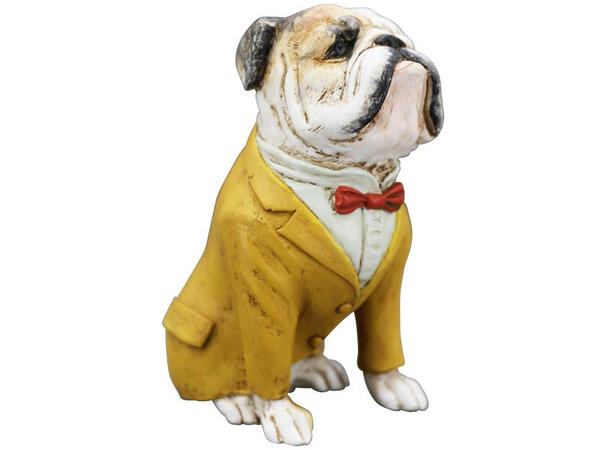 Bulldogg gul jakke 14x8,5x16,5cm Forpk 4stk Polyresin 