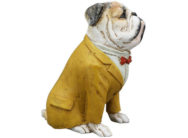Bulldogg gul jakke 14x8,5x16,5cm Forpk 4stk Polyresin 