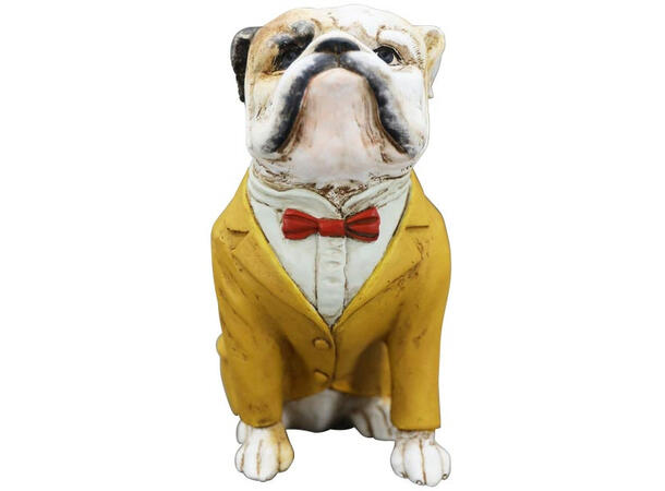 Bulldogg gul jakke 14x8,5x16,5cm Forpk 4stk Polyresin 