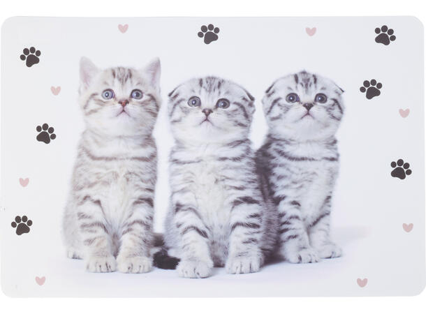 Dekkebrikke hund og katt 43x29cm 4ass 