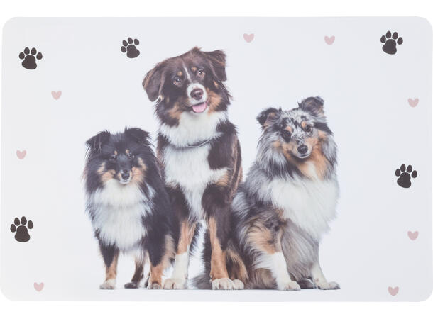 Dekkebrikke hund og katt 43x29cm 4ass 